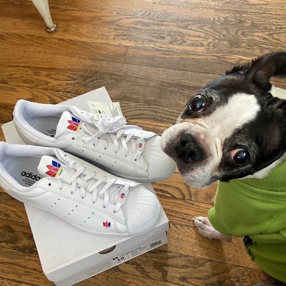 Adidas Originals Superstar Pure
